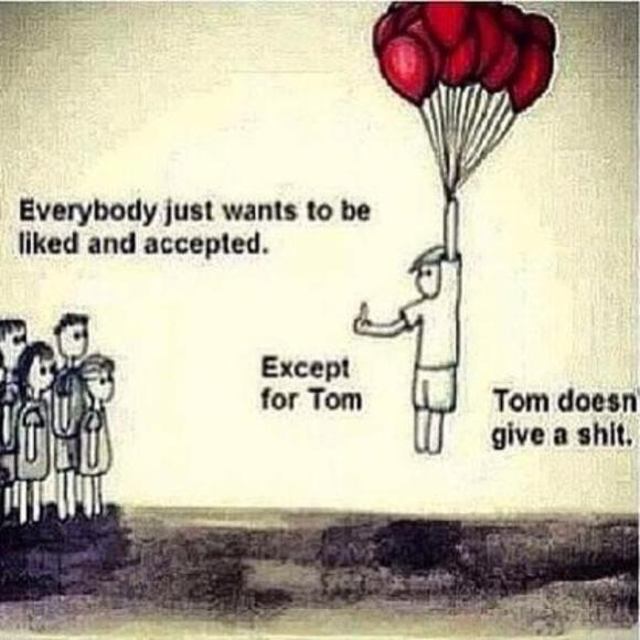 Meet your Posher, Tom - Picture 1 of 1